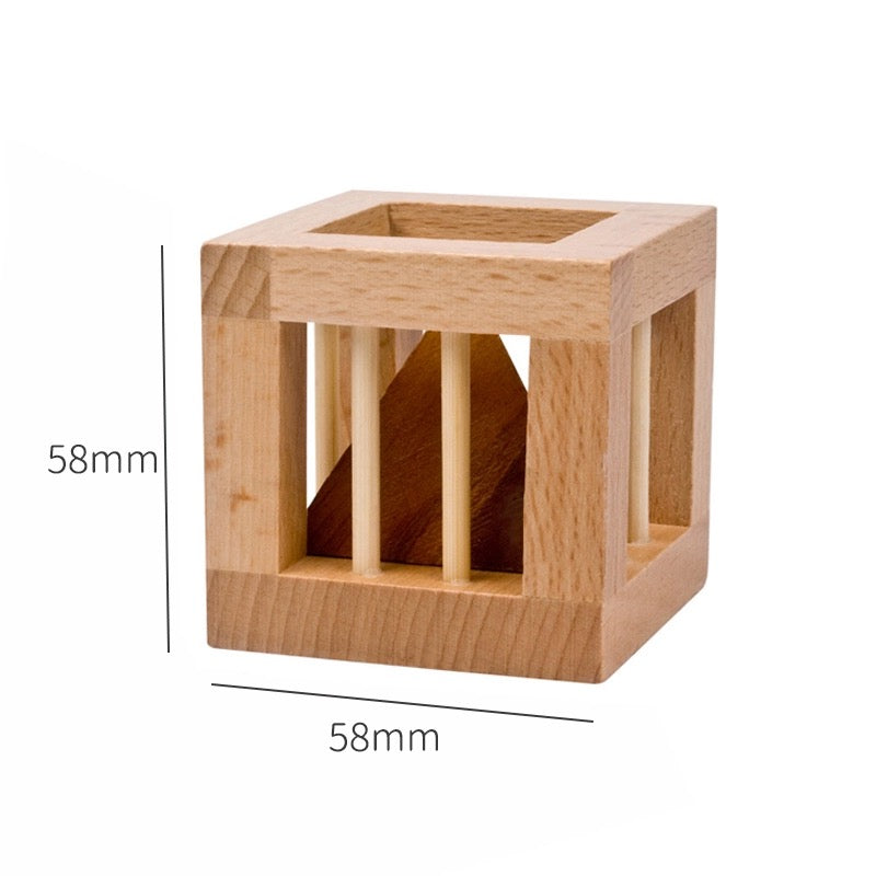 Wooden Brain Teaser Puzzle Collection