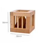 Wooden Brain Teaser Puzzle Collection
