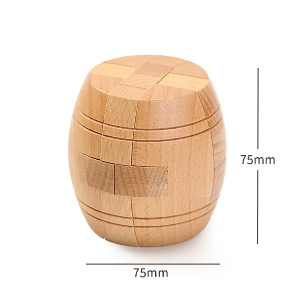 Wooden Brain Teaser Puzzle Collection