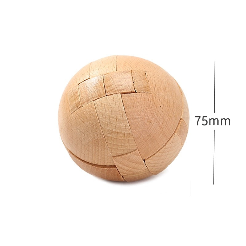 Wooden Brain Teaser Puzzle Collection