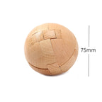 Wooden Brain Teaser Puzzle Collection