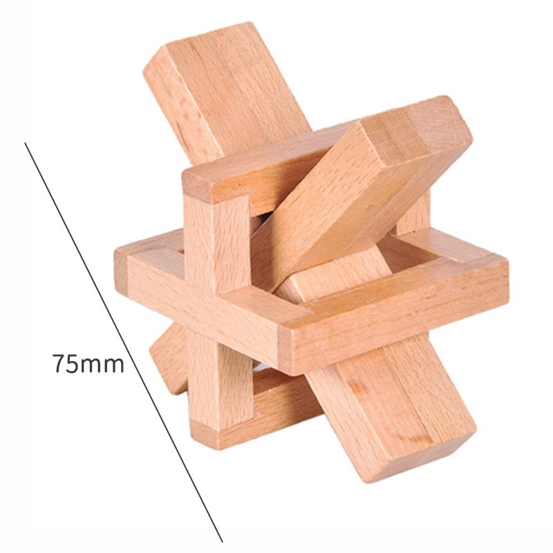 Wooden Brain Teaser Puzzle Collection