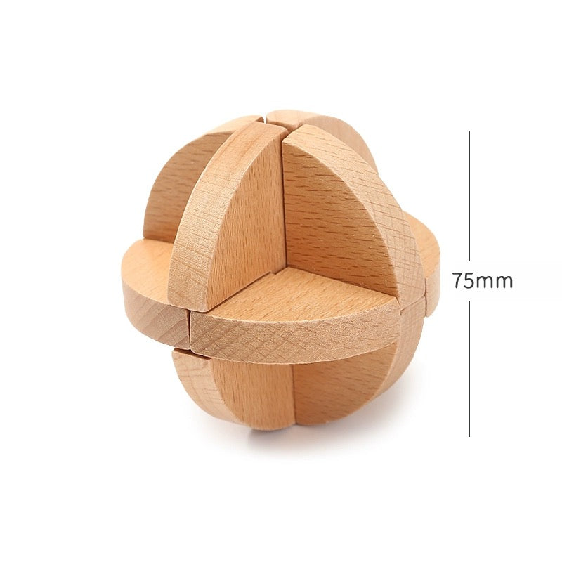 Wooden Brain Teaser Puzzle Collection