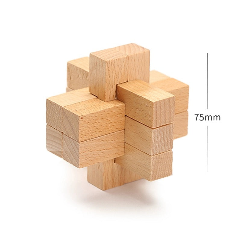 Wooden Brain Teaser Puzzle Collection