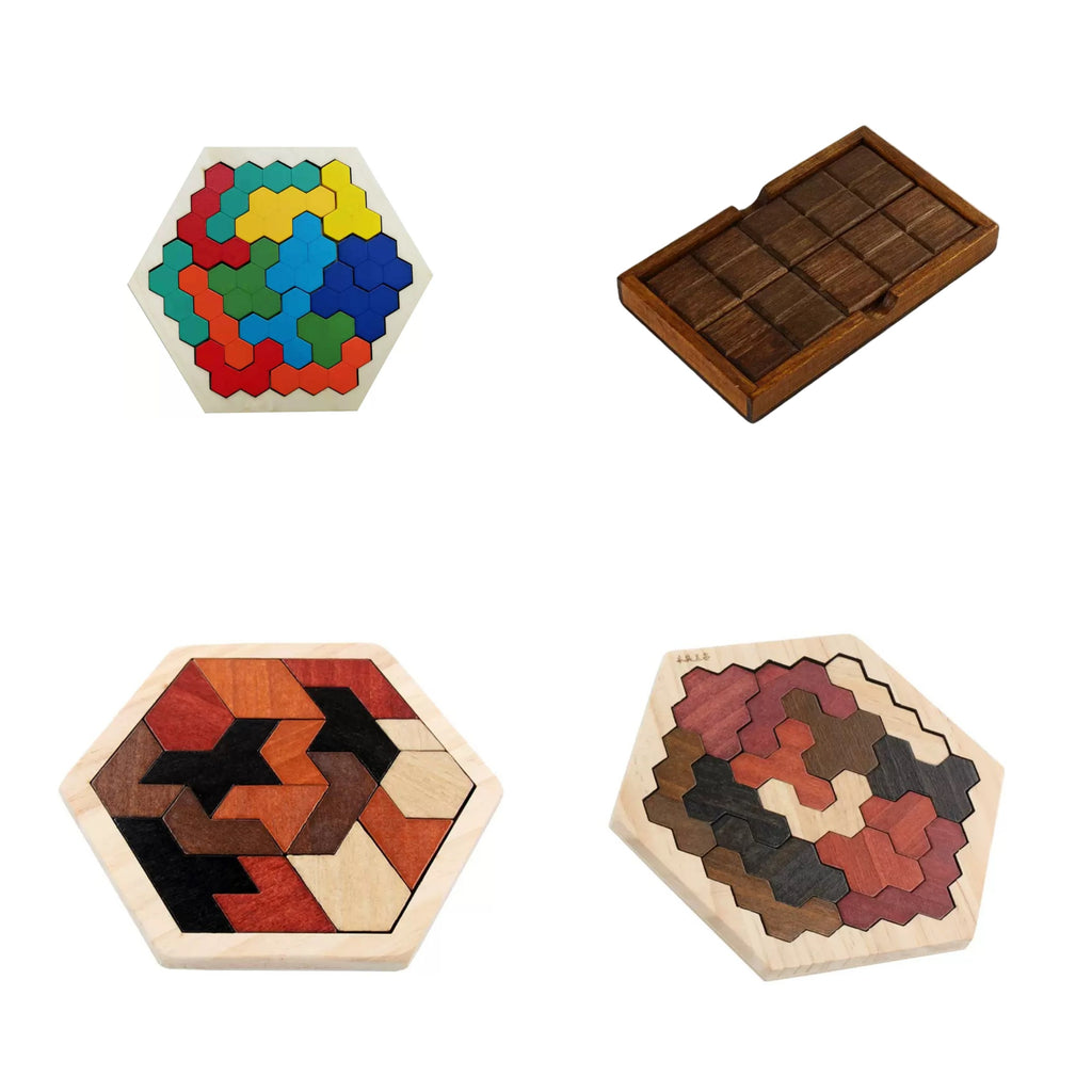 Put back the Pieces ( Wooden Puzzle )