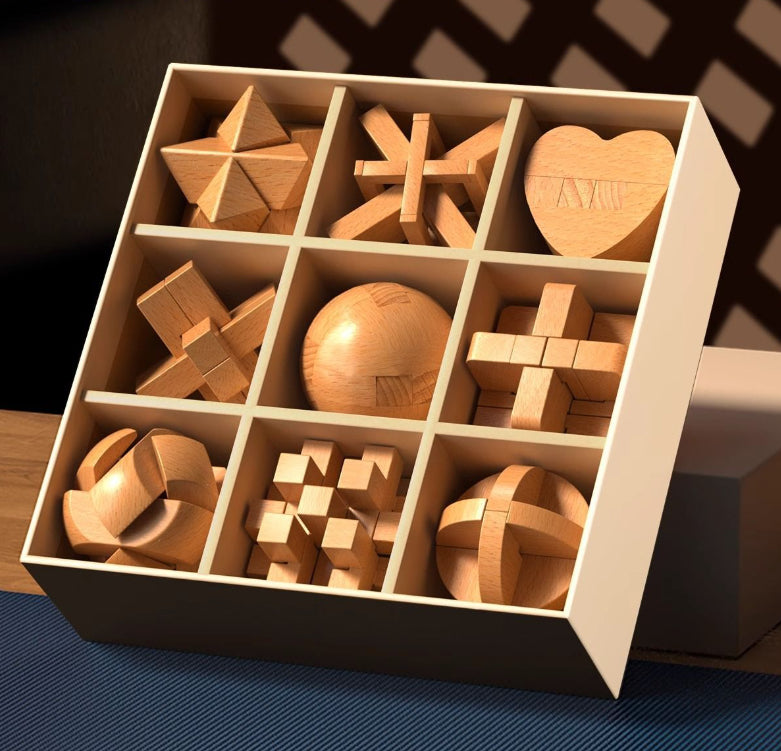 Wooden Brain Teaser Puzzle Collection